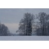 Impressionen - Bild  6