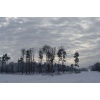 Impressionen - Bild  3
