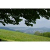 Impressionen - Bild  8