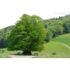 Impressionen - Bild  9
