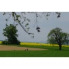 Impressionen - Bild  10