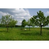 Impressionen - Bild  12