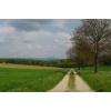 Impressionen - Bild  13