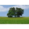 Impressionen - Bild  7