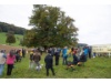 Eintreffen bei der Linde von Linn